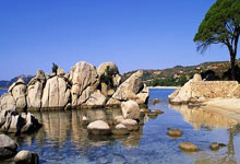 雷速-巴特勒赛事官方发布出色防守新规，老鹰争议不断！的简单介绍